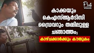 കാക്കയും കെഎസ്ആർടിസി ഡ്രൈവറും തമ്മിലുള്ള ചങ്ങാത്തം; കാഴ്ചക്കാർക്കും കൗതുകം