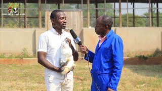 Rabbit farming / okulunda obumyu part B