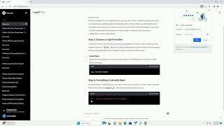 python code format online