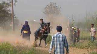 HORSE RACE BHAINI [ROPAR} 21 MARCH ​⁠​⁠STARTING POINT