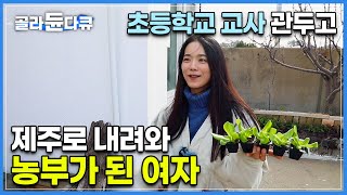 다시 선생님 했으면 좋겠다는 가족들의 만류에도 불구하고 농부가 된 이유 | 오늘은 주희 씨 농장에 첫 귤나무 심는 날! | 제주도 | 한국기행 | #골라듄다큐