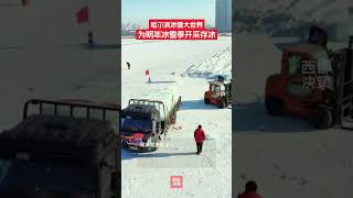 为备战下一个冰雪季，第二十七届哈尔滨冰雪大世界存冰工作于1月15日正式开启。采冰工作完成后，冰块会被小心翼翼地运送到储冰场。这里存冰综合运用了传统储冰方式与现代多层保温技术，即使在炎热的夏季存