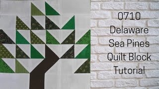 0710 Delaware Sea Pines Free Quilt Block Tutorial | Block of the Day 2023 | AccuQuilt | Carol Thelen