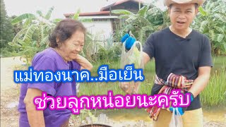 แม่ทองนาคมือเย็น ช่วยลูกด้วย #บ้านสวนกำภูEp.242