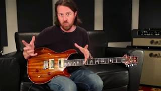 The PRS SE Custom 24 Zebrawood | PRS Guitars