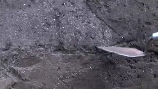 Archaeological Stratigraphy Time Team America PBS