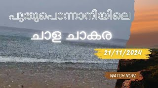 ചാകര   പുതുപൊന്നാനി കടപ്പുറത്ത് ചാള ചാകര