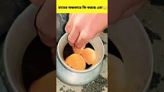 রাতের অন্ধকারে কি করছে এরা?😳About Night fact😳 #facts #reels #shots #factbangla #factinminutes