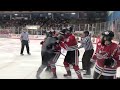 carolina thunderbirds vs. danville dashers fight