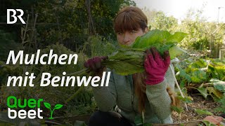 Beinwell als Mulch - Tipps von Sabrina