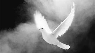 TRIBUTE TO LOVED ONES THAT HAVE PASSED AWAY. Emotional poetry, spoken word "The World Stood Still"
