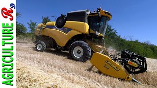 New Holland CX 5.90 - Campagna 2022