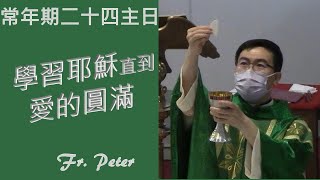 Fr. Peter 常年期第二十四主日 [马尔谷八27-35]