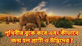 পৃথিবীর বুকে প্রথম কবে এবং কীভাবে জন্ম হল প্রাণী ও উদ্ভিদের।। How Life Began on Earth ..