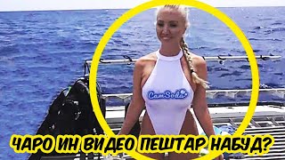 Оё Шумо ин Видеохоро Фахмида Метавонед? Некатоп 2024