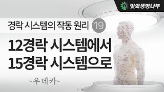 경락 시스템의 작동 원리 19 : 12 경락 시스템에서 15 경락 시스템으로