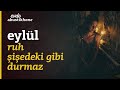 Eylül - Ruh Şişedeki Gibi Durmaz / #EvdeAkustikhane