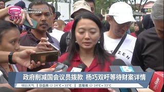 政府削减国会议员拨款  杨巧双吁等待财案详情【2023.02.04 八度空间华语新闻】