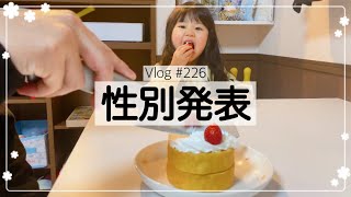 【性別確定】ジェンダーリビールケーキを作って性別発表！【Vlog】