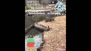 【2024年2月 横浜市鶴見区「馬場花木園」散歩】japanese garden「babakabokuen」in February