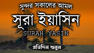 সূরা ইয়াসিন আবেগময় কন্ঠে প্রতিদিন সকালে শুনুন | Yaseen | SURAH YASIN Best recitation by alaa aqel