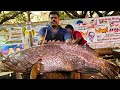 KASIMEDU 🔥 SPEED SELVAM | 27 KG GIANT BROWN GROUPER FISH CUTTING VIDEO | IN KASIMEDU | FF CUTTING🔪