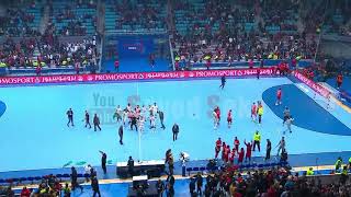 اعتداء الجمهور التونسي على لاعبي منتخب مصر لكرة اليد فى نهائي أفريقيا "اللقطات كاملة"