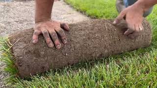 HOWTO Lay SOD like a Pro