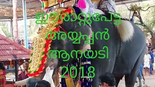 ആനയടി ഗജമേള 2019 ഈരാറ്റുപേട്ട അയ്യപ്പൻ മാസ്സ് എൻട്രി