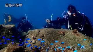 ダイビングスクール海底少年　四国徳島の海