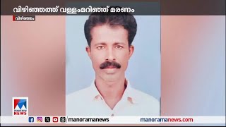 വിഴിഞ്ഞത്ത് വള്ളം മറിഞ്ഞ് മത്സ്യത്തൊഴിലാളി മരിച്ചു | Vizhinjam death