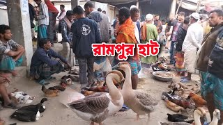 গ্রামের মানুষের হাঁস মুরগির বাজার l village market l বিচিত্রময় ঐতিহ্যবাহী রামপুর হাট