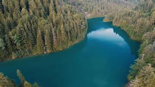 Lake Kruščica - Tara National Park - Serbia - 4K video