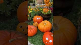 舞浜駅周辺フォトスポット【イクスピアリ】に可愛いHalloween装飾 東京ディズニーリゾート #shorts