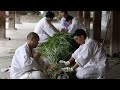 京都・北野天満宮で「大茅の輪」づくり　making a large chinowa at kitano tenmangu shrine in kyoto　京都北野天滿宮製作大型蔦瓦