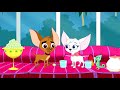 Beverly Hills Chihuahua - Pilot