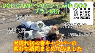 【DOD CAMP PARK KYOTO withDOG プラン】犬連れ初心者キャンパーの疑問まとめてみたやで！【初キャンプ】チワワ＆チワプーキャンプ