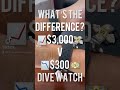 What’s the Difference? $3,000 v $300 Dive 🤿 Watches #orient #tudor #shorts