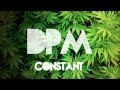 DPM Beats - Constant