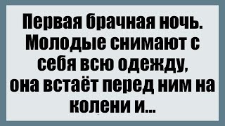 Первая брачная ночь - Смешные анекдоты