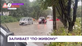 Мосты, дороги и машины рисковых водителей уходят под воду в Приморье