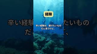 【ちょっと元気になる名言】#経験 #名言 short #なごみ