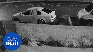 CCTV shows man slashing tyres with his walking stick - Daily Mail