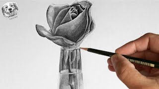 How to draw a realistic Rose in pencil Step by Step