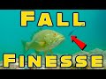 Best Finesse Baits For Fall Bass Fishing!