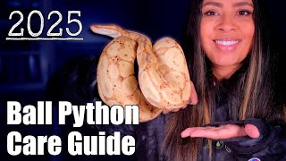 Ball Python Care Guide 2025