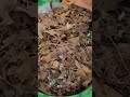 shorts kitchen waste compost compost