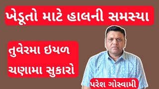 ખેડૂતોની હાલની સમસ્યા પરેશ ગોસ્વામી || Khedut Ni Hal Ni Samashya Paresh Goswami Chana Ane Tuver