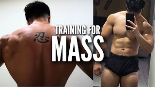 How I train for MASS - Full Calisthenics Training Vlog