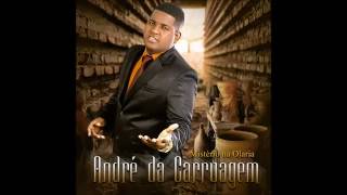 ANDRE DA CARRUAGEM CD MISTERIO NA OLARIA